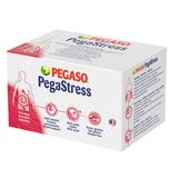 Pegastress 14 Stick Pack