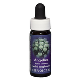 ESSENZA CALIFORNIANA Angelica (Angelica archangelica) 7.5 ml