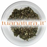 PIANTA OFFICINALE Artemisia volgare sommità tagl.tisana (Artemisia vulgaris L.) 500 gr