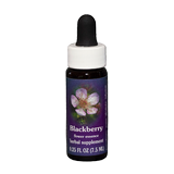 ESSENZA CALIFORNIANA Blackberry (Rubus ursinus) 30 ml