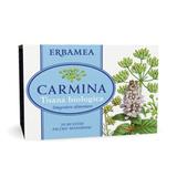 Carmina - Tisana biologica 20 filtri