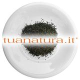 PIANTA OFFICINALE Nepitella foglie tagl.tisana (Mentuccia) (Calamintha officinalis Moench) 500 gr