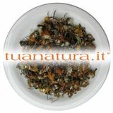 PIANTA OFFICINALE Farfara fiori - Tossilagine (Tussilago farfara L.) 500 gr