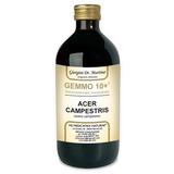 Dr. Giorgini GEMMO 10+ Acero Campestre 500 ml liquido analcoolico