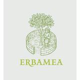 Erbe Officinali SENAPE NERA farina (Brassica nigra (L.) W.D.J. Koch) 500 g
