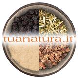 PIANTA OFFICINALE Mentastro sommità tagl.tisana - Menta selvatica (Mentha sylvestris L.) 500 gr