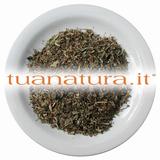 PIANTA OFFICINALE Pilosella erba tagl.tisana (Hieracium pilosella L.) 500 gr