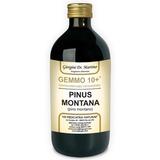 Dr. Giorgini GEMMO 10+ Pino Montano 500 ml liquido analcoolico