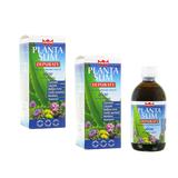 Winter Planta Slim Depuraty 500 ml | 2 Confezioni