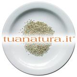 PIANTA OFFICINALE Quinoa semi interi (Chenopodium quinoa Willd.) 500 gr