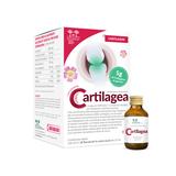 Salugea Cartilagea 18 flaconcini da 12 ml 