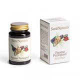 Sante' Naturels Pinomar Pycnogenol 60 capsule da 450 mg 