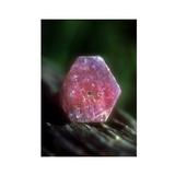 Gem Elisir - SAPPHIRE/RUBY (Zaffiro/Rubino): Essenze di cristalli e pietre preziose