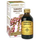 Dr. Giorgini GEMMO 10+ Tamerice 100 ml liquido analcoolico
