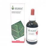 TINTURA MADRE DI ELICRISO (Helycrisum italicum) 50 ml