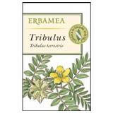 Tribulus (Tribulus terrestris L.) - 50 capsule vegetali