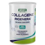 why nature collagene rigenera polvere 330 grammi